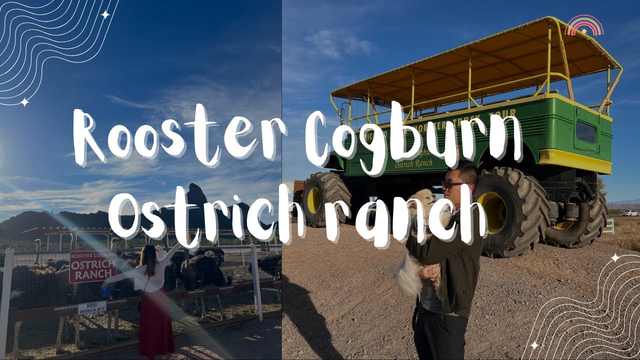 Rooster Cogburn Ostrich Ranch Arizona