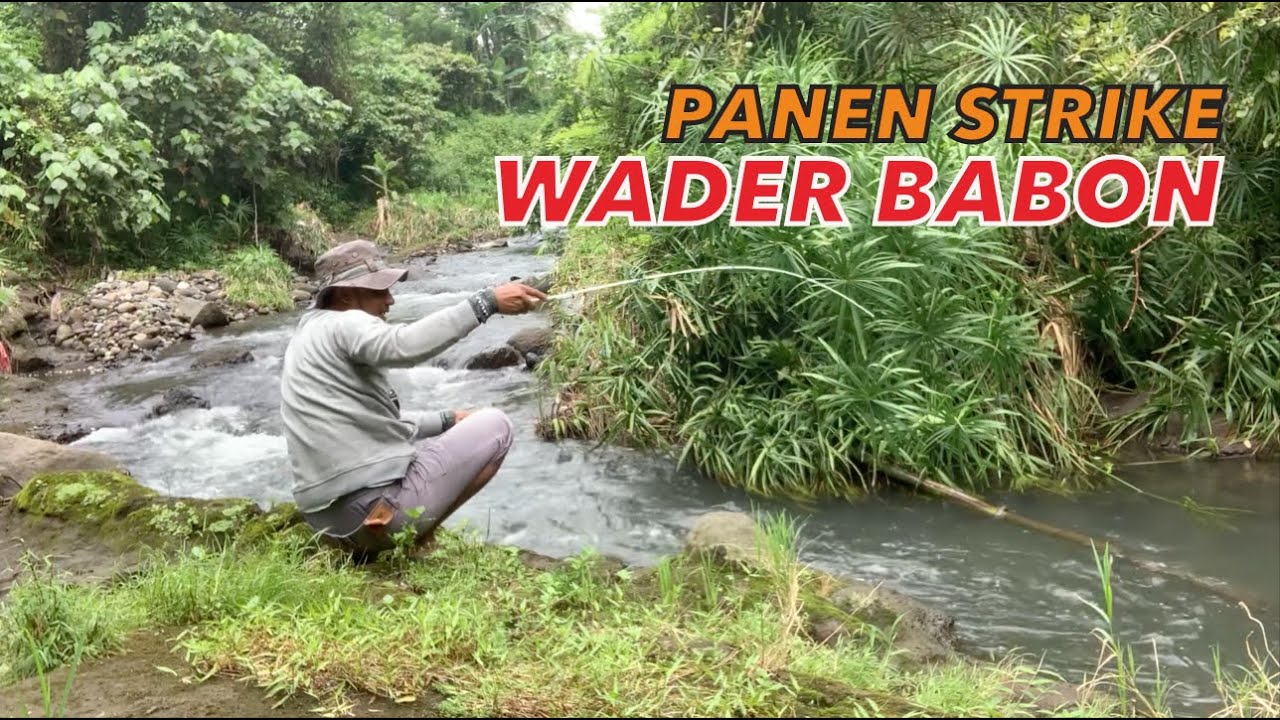 mancing wader di sungai arus deras, ternyata wader babon