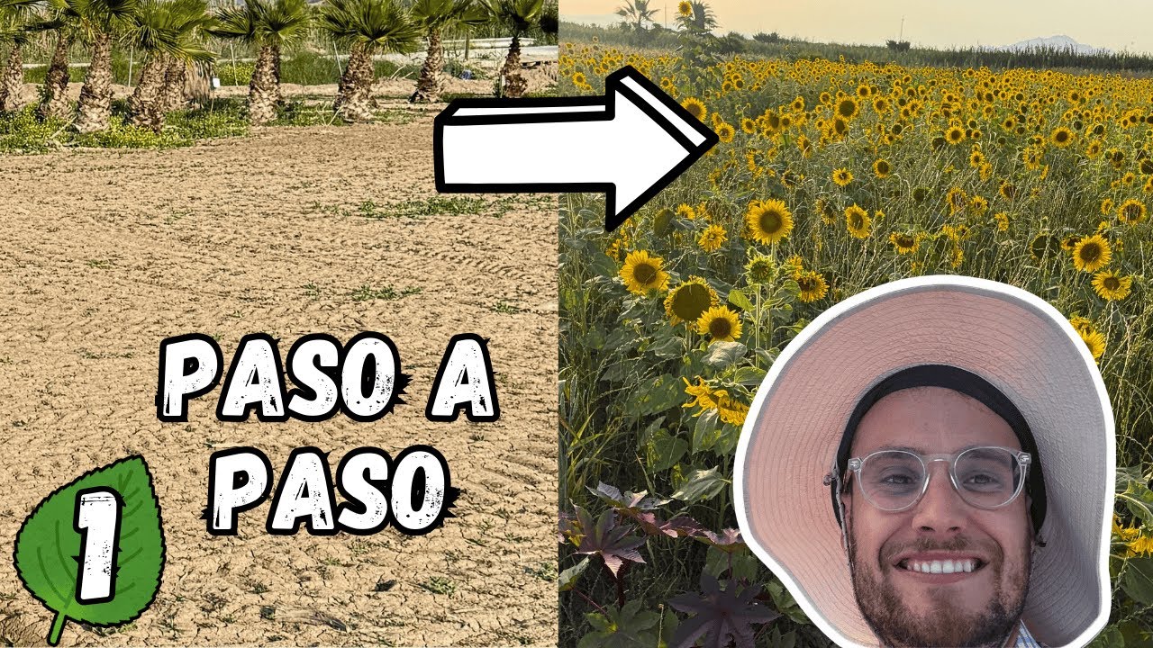 Qu&eacute; es el ABONO VERDE y c&oacute;mo SEMBRARLO 🍋 La Granja Abono Verde Ep 1