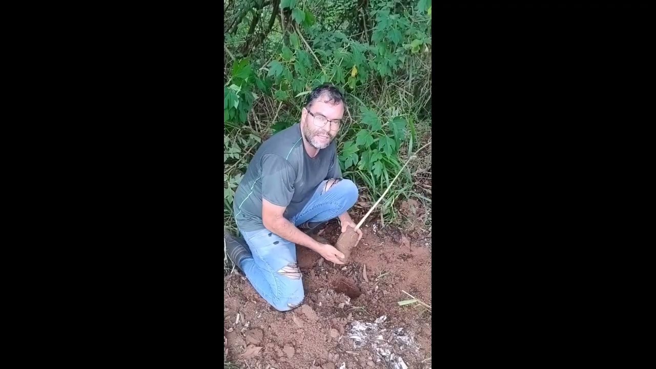 Cada um colhe o que planta 