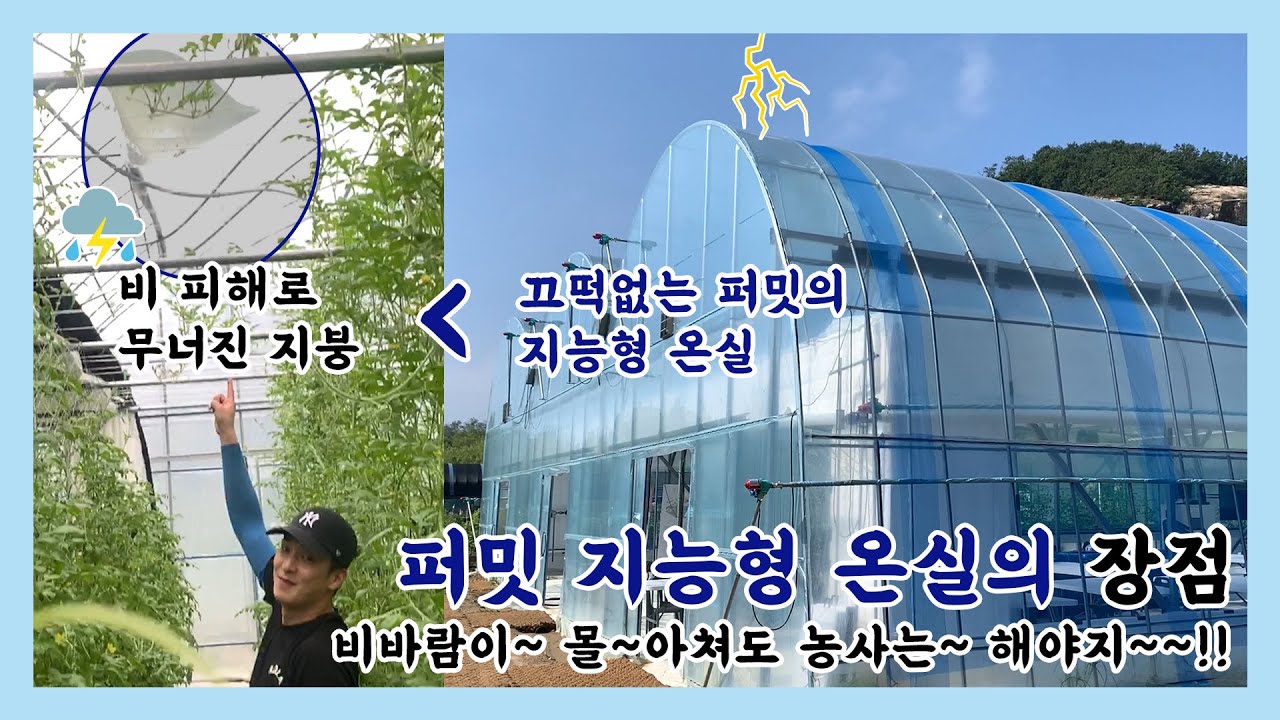 [퍼밋] 비바람이 몰아쳐도 끄떡없는 퍼밋 지능형 온실!! 대체 일반 비닐하우스와 뭐가 다를까??   365일 안전하게 농사짓자!!