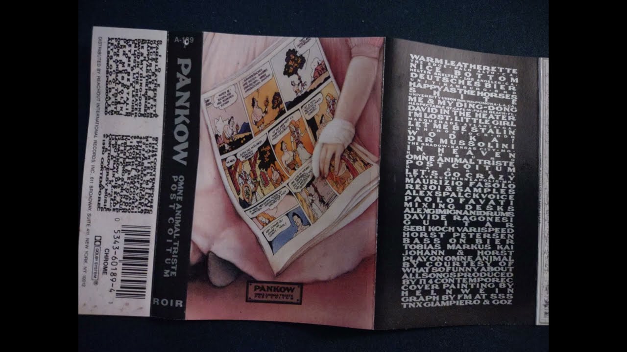 Pankow - Omne Animal Triste ROIR cassette side 2 (1990)