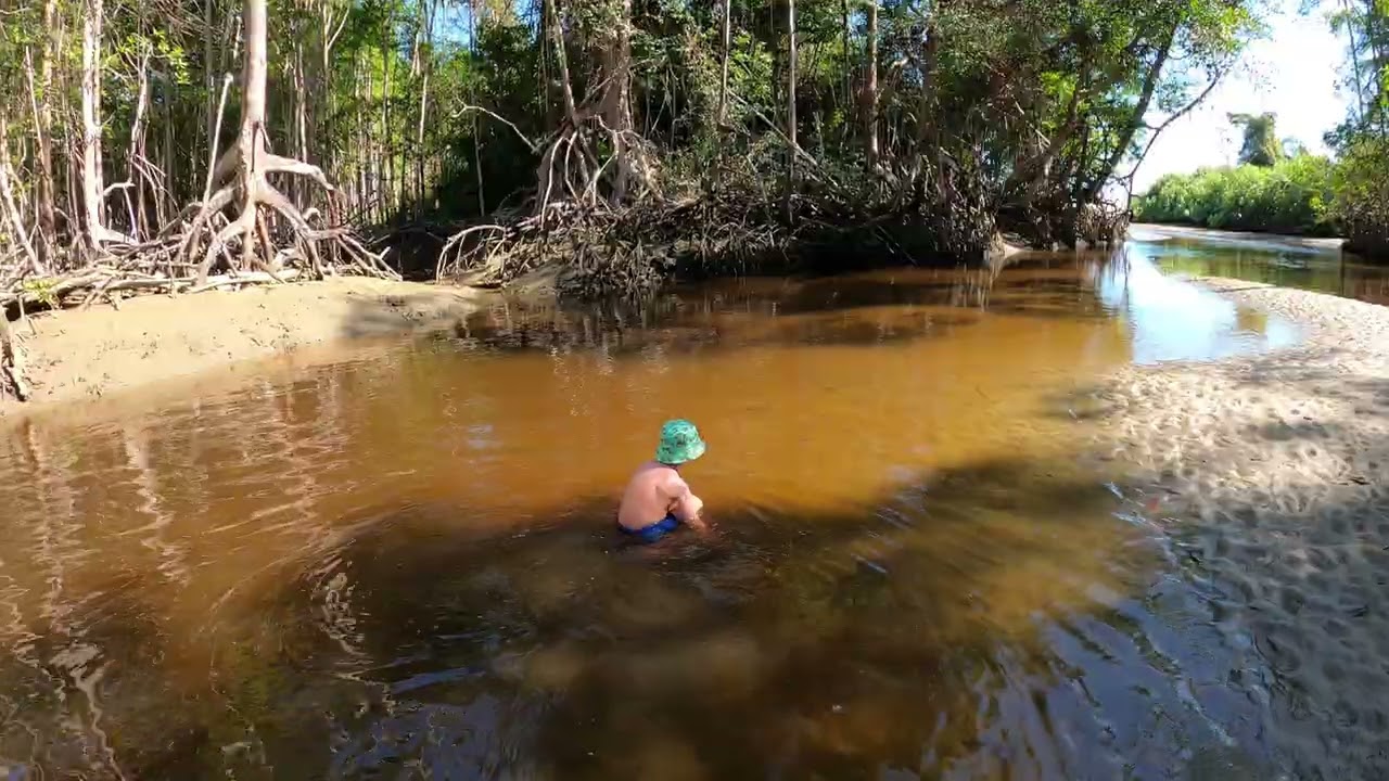 Achille in the Playa Uvita Mangroves