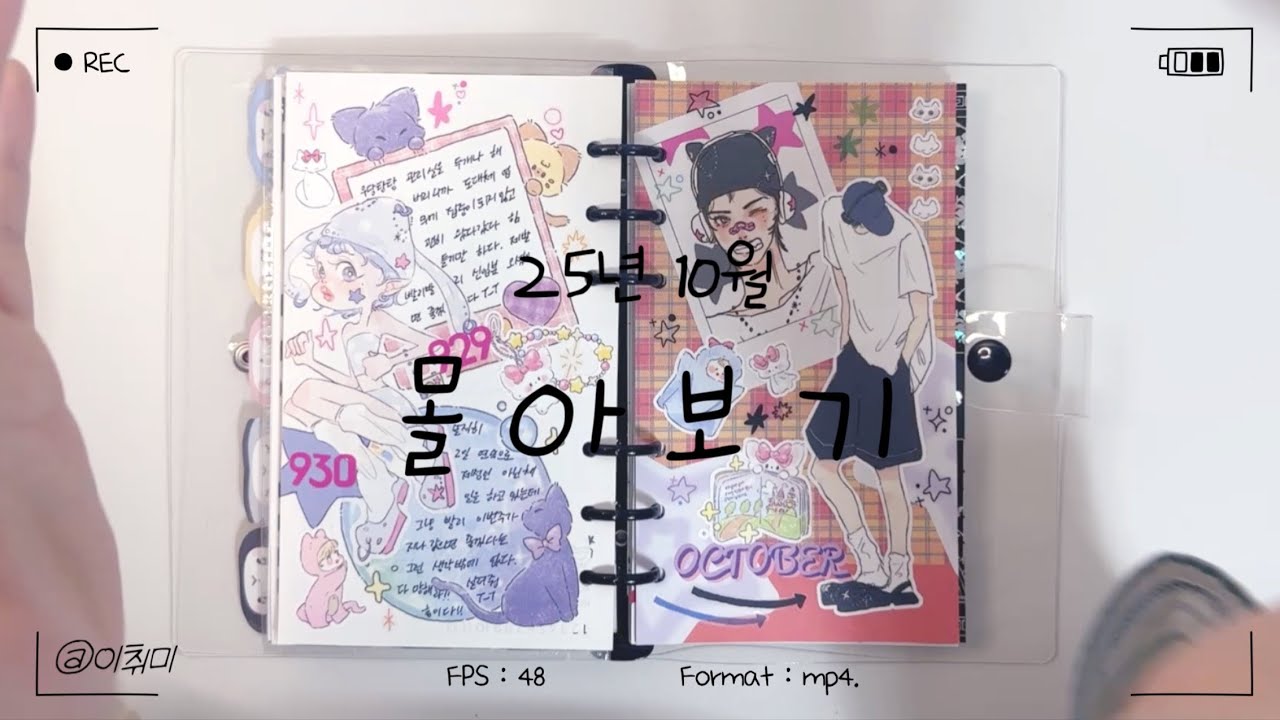 [다꾸 몰아보기] 25년 10월