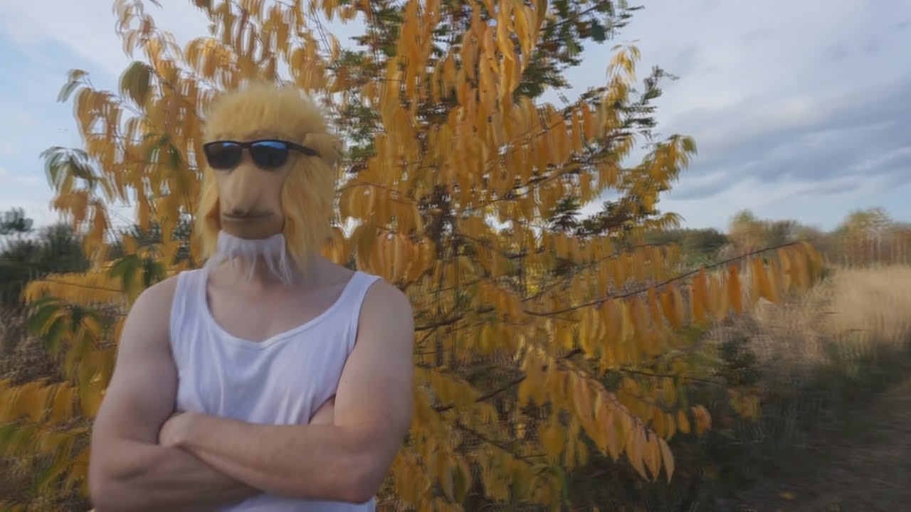 TYLKO POŁ&Oacute;WKA (Sanah - Melodia PARODIA) | Nosem Janusza