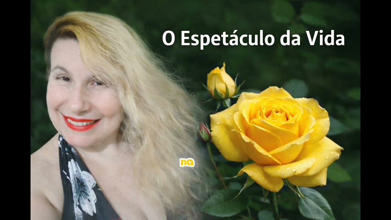 Stela - O Espetáculo da Vida