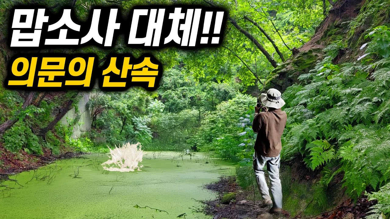 산속 의문의 장소.. 소나기 후, 엄청난 녀석이 나왔습니다