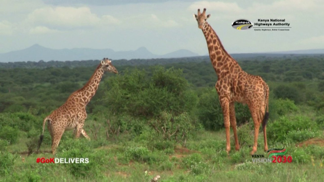 Documentary on the Multinational Mwatate - Taveta Road