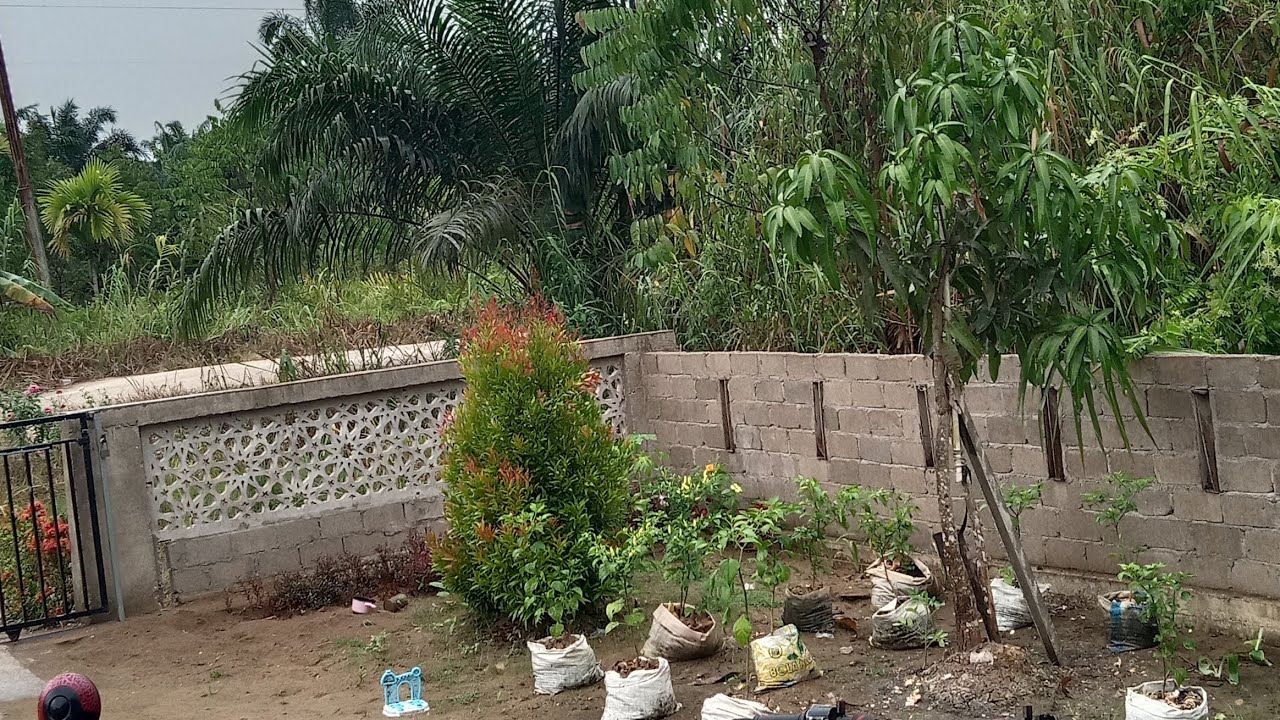 Keluarga cesa Sitepu 