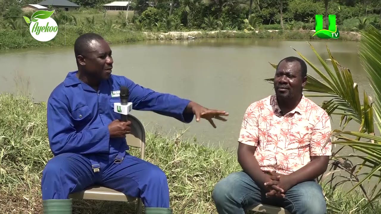AYEKOO:  I AM DOING AGRIC TOURISM TO CREATE JOBS