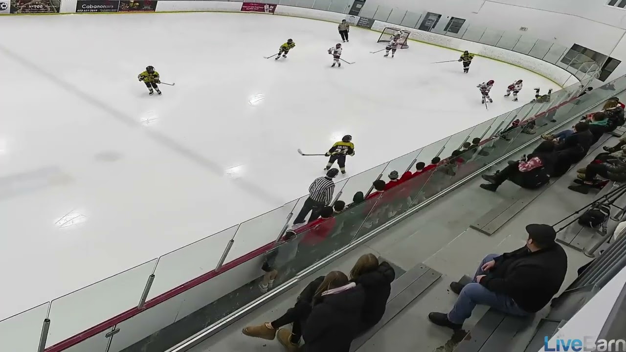 2026 02 07 vs Amos livebarn