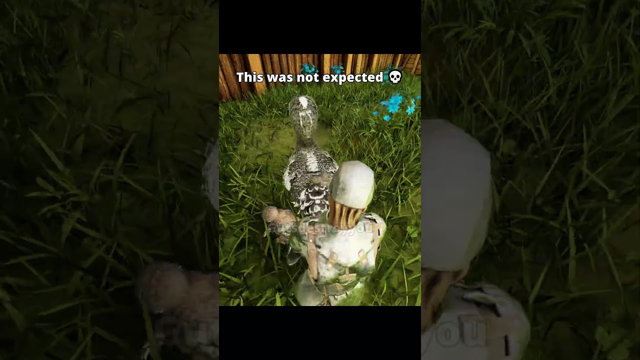 Pvp aint easy 