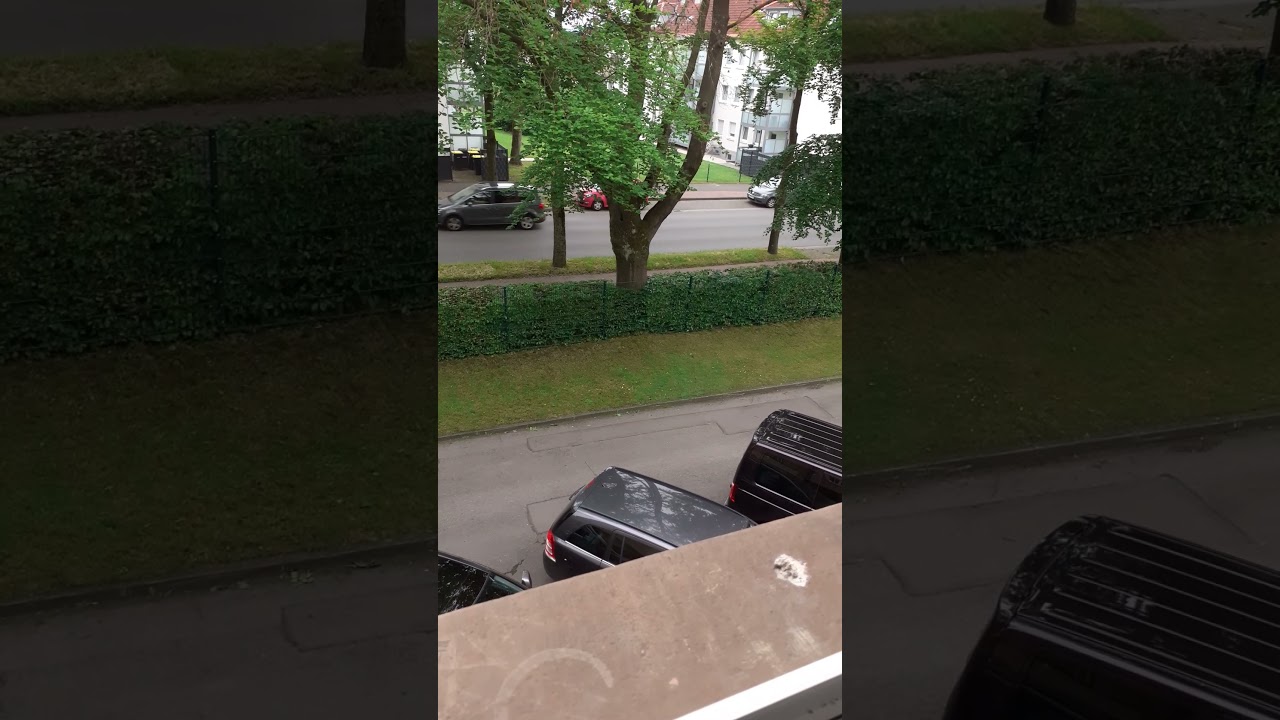 poor guy drops his phone, it falls out of the window