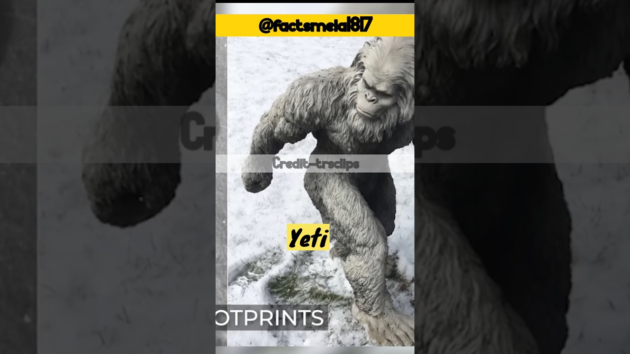 🔥Yeti Story revealed ll  An Unknown Creature of earth yet to come ll 