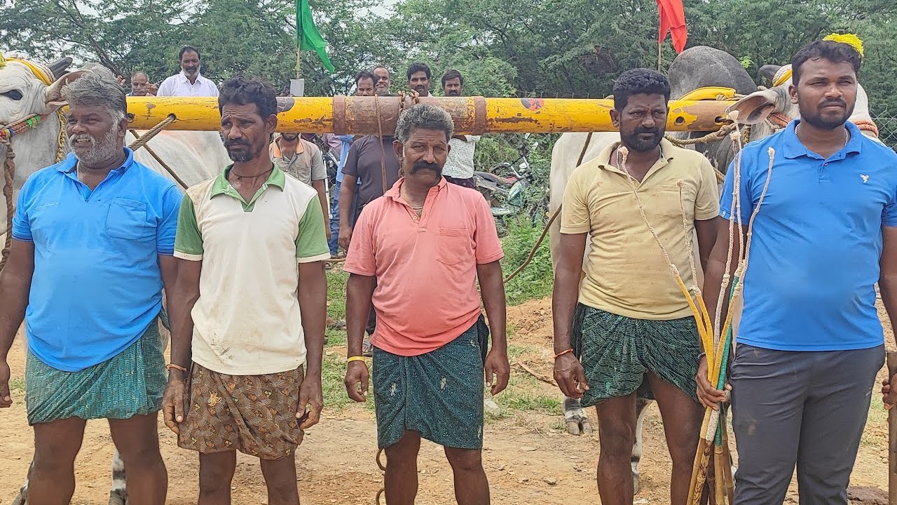 కల్లూరు న్యూ కేటగిరి విభాగంలో 12వ జత GP చౌదరి బుల్స్
