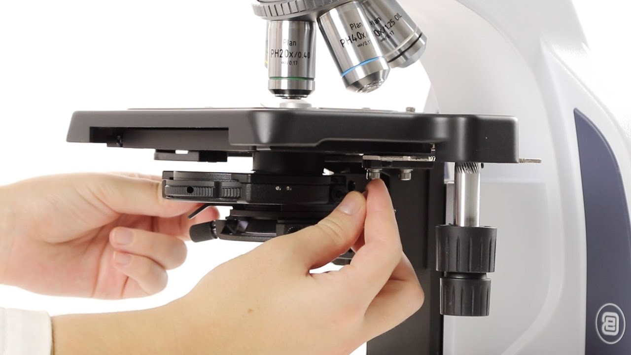 Euromex iScope phase contrast EN