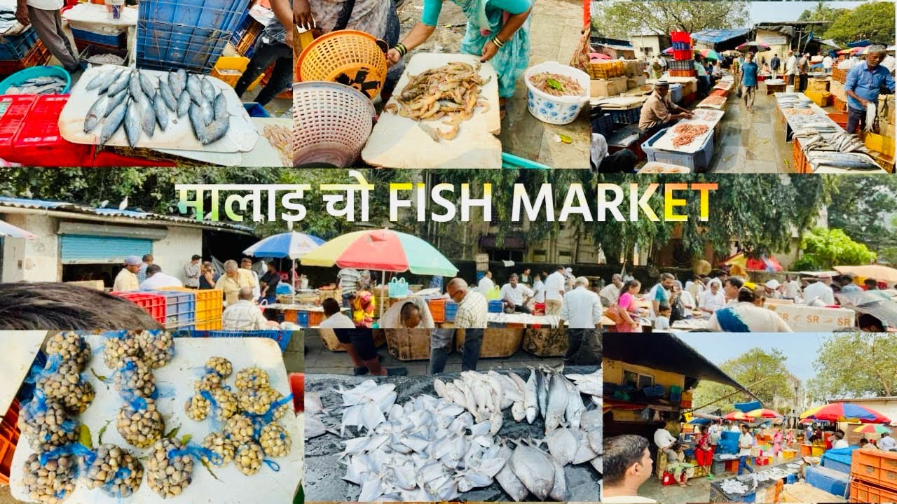 🤩Mumbai malad fish market 🐠🐡latest video 18 oct 2025 👆🏻
