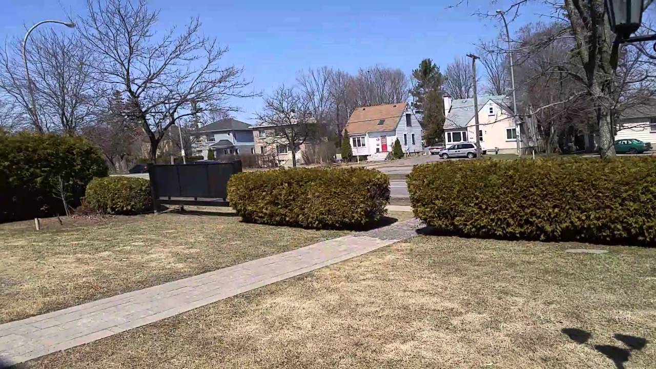 Advice on pricing commercial lawn care and maintenance