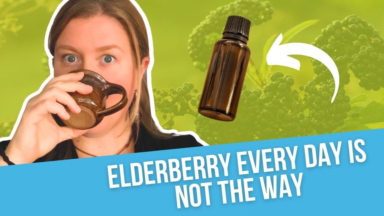 🌿Should I Take Immune Boosting Herbs, Like Elderberries or Echinacea, Every Day?