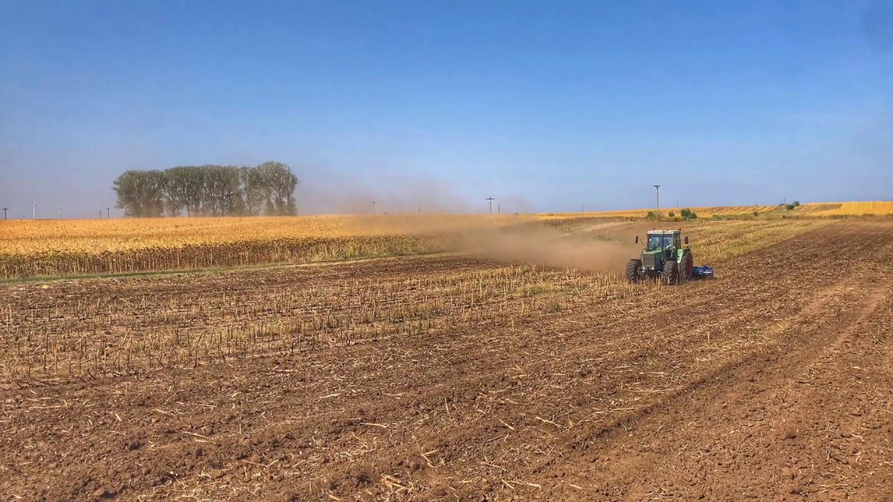 Terradisc pe Betele de Floarea-Soarelui! 🚜✔️