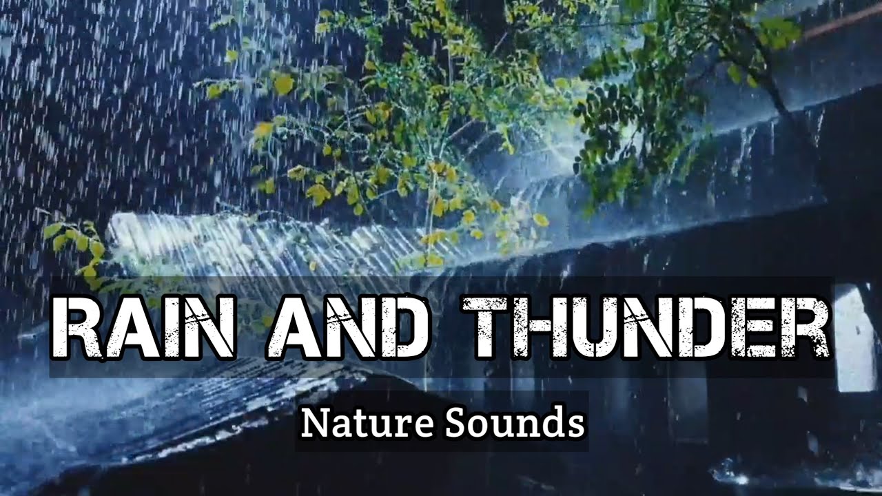 Surrender to the Storm⚡ || Heavy Rain & Thunder for Deep Sleep ⛈️ Asmr for Sleep