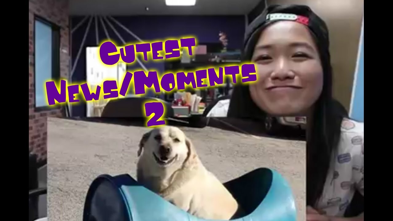 JustKiddingNews Cutest News/Moments 2