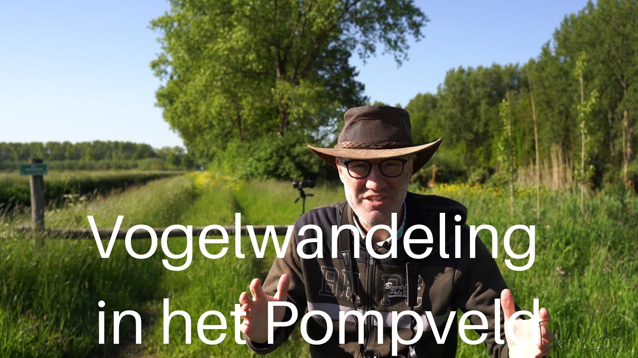 Vogelwandeling in het Pompveld / Bird walk #352