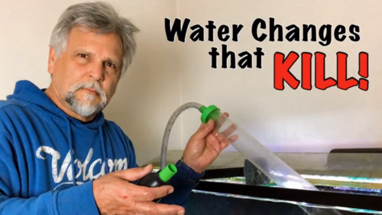 Water Changes and Tank Stability - (Filter Media Makers are Going to Hate Me!)