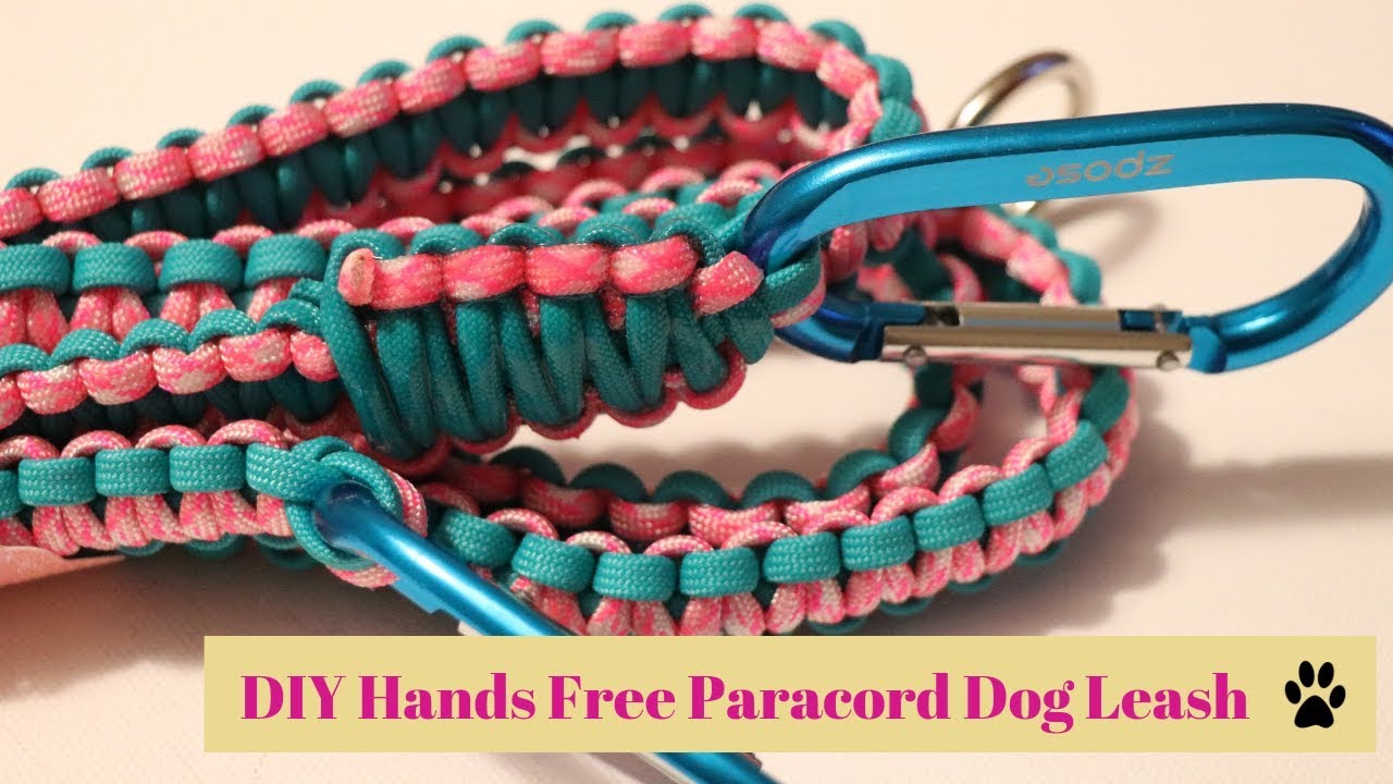 DIY Lite Teal and Hot Pink Hands Free Paracord Dog Leashes by Colorado Cords 4 Paws