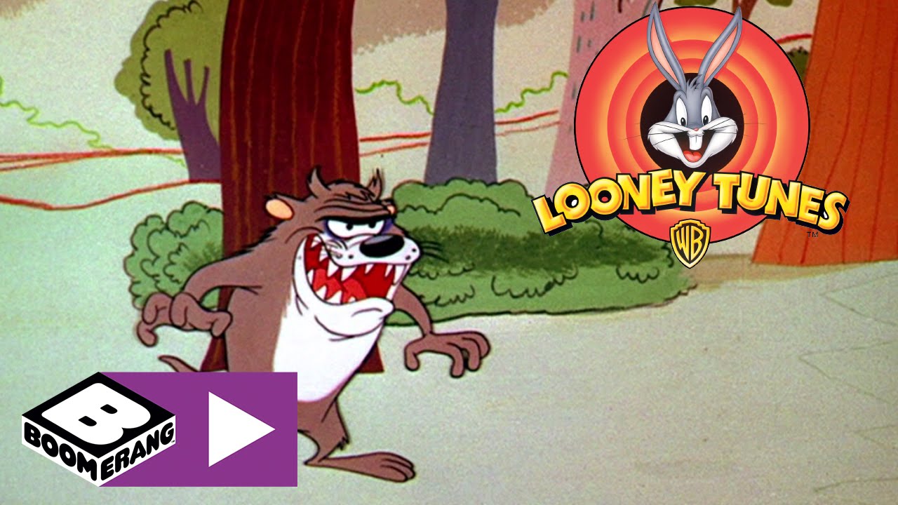Looney Tunes | Il Diavolo della Tasmania | Boomerang
