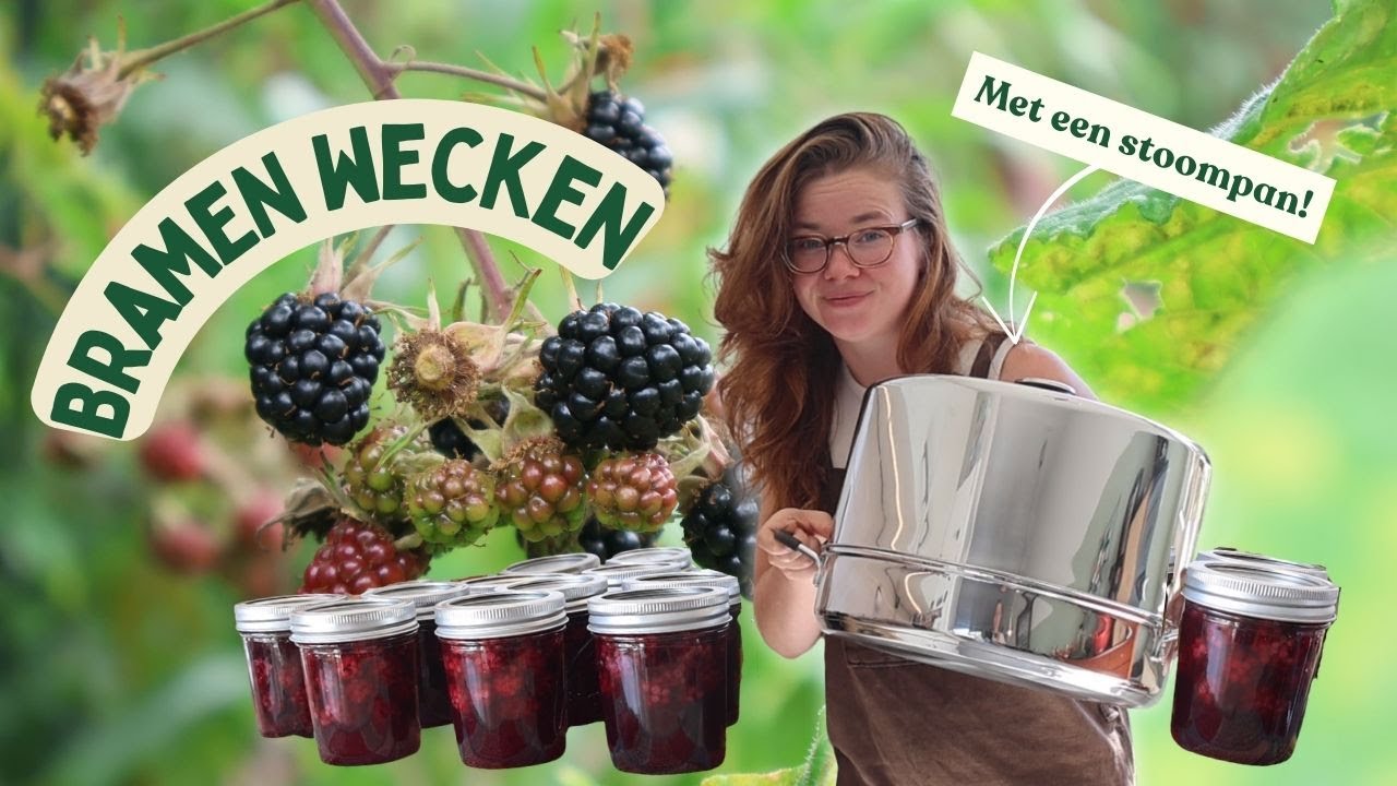 Bramen wecken | Met stoomcanner! | fruit conserveren voor smoothies