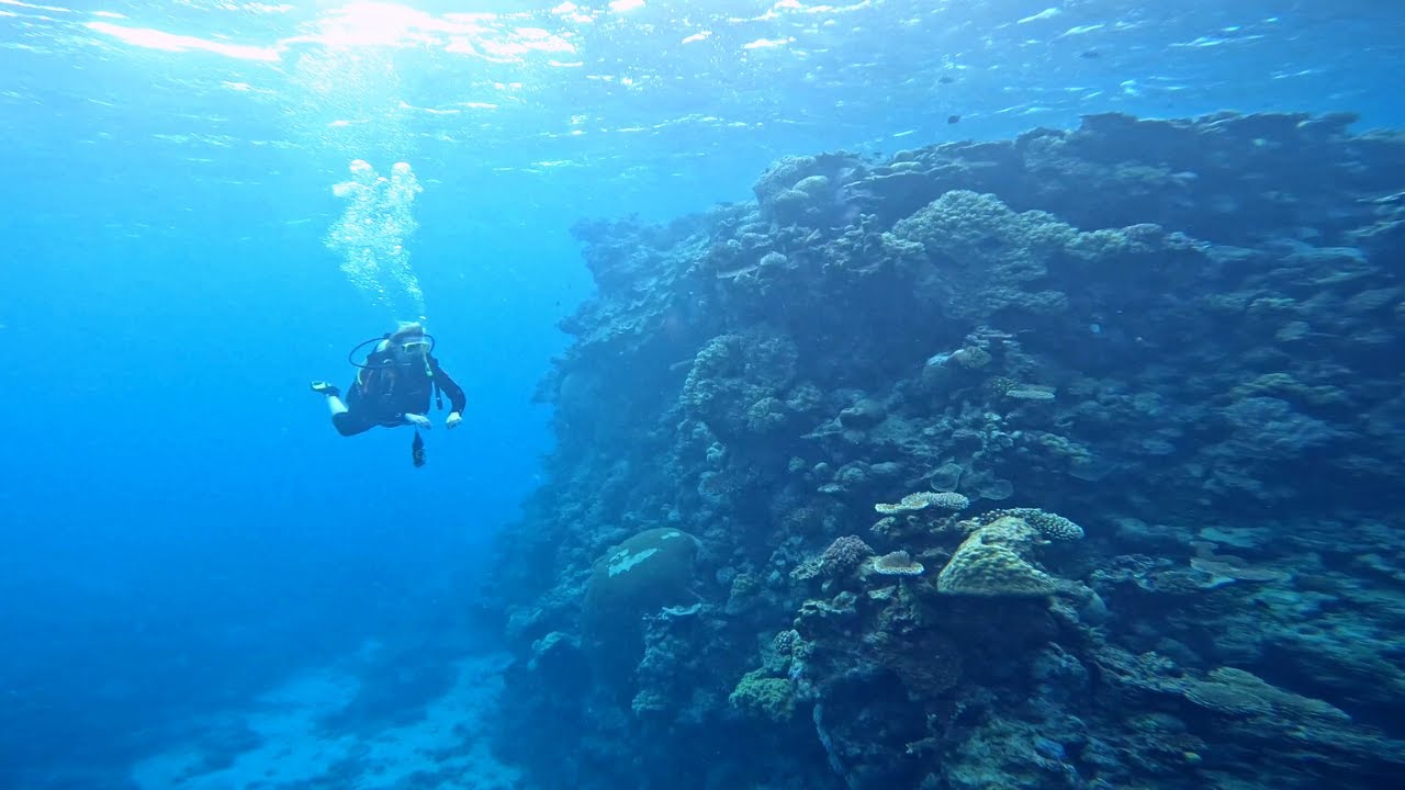 Diving the Great Barrier Reef w/ ProDive Cairns.