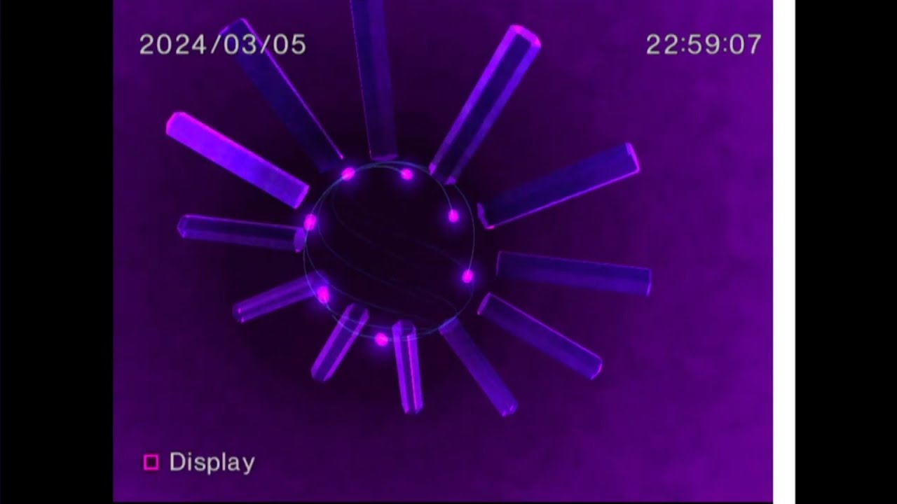 PS2 BIOS Corruption [2]