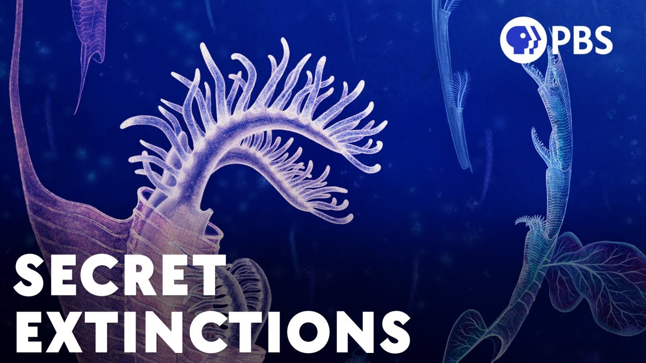 The Huge Extinctions We Are Just Now Discovering