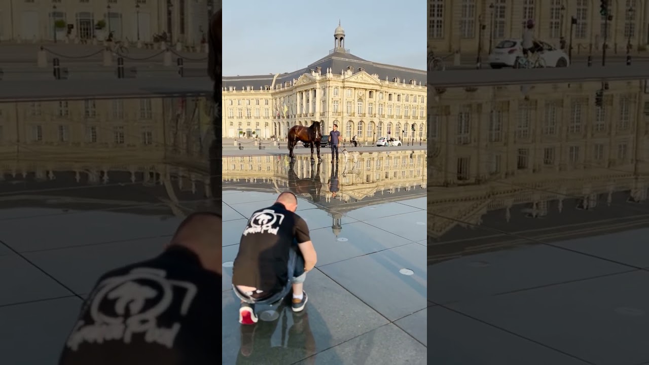 Séance photo au Miroir d'eau à Bordeaux avec Grain de Pixel et les chevaux de Cheval des Vignes