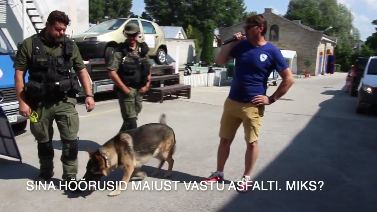 Politsei teenistuskoer otsib peidetud münti Kuuleka koera päeval, Politseimuuseumis 10.07.2021