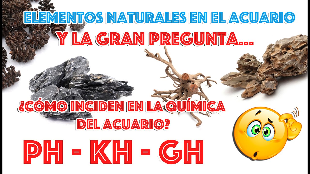 Cómo inciden los elementos naturales en la química ⚗️  del acuario 🐟