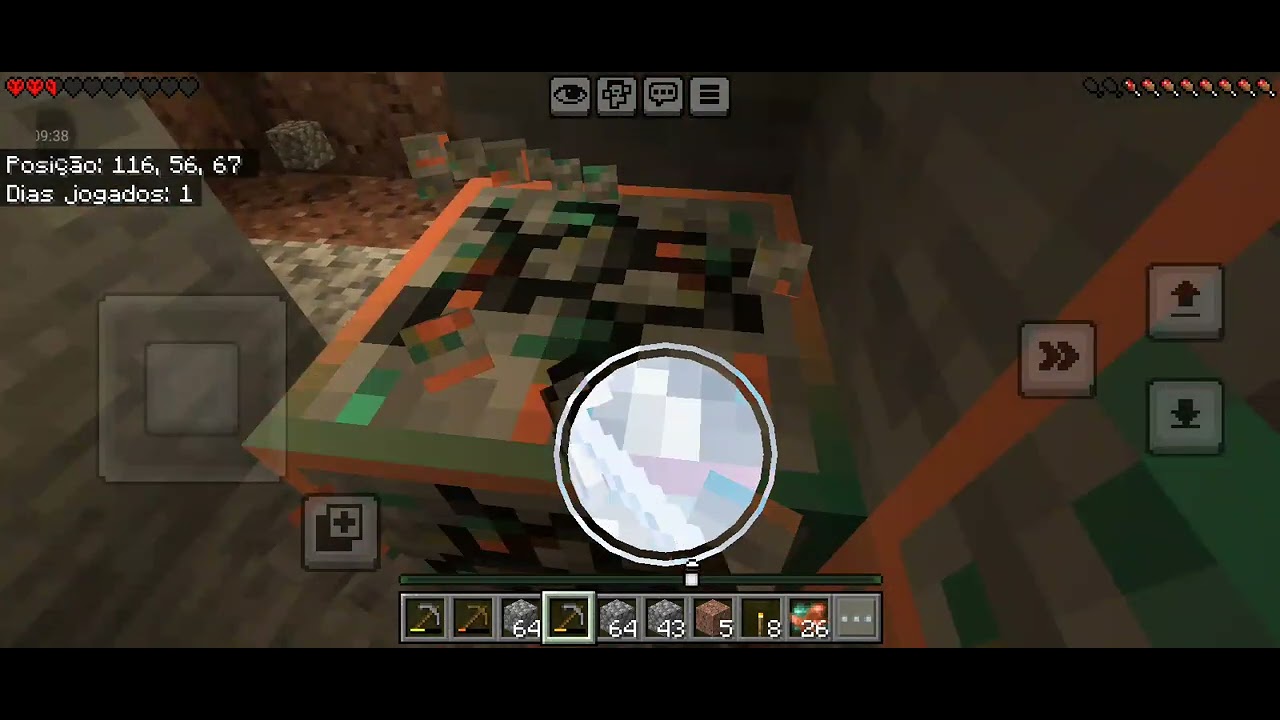 Perdi no hardcore 