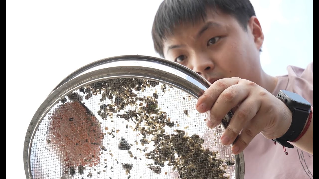 嶺大可持續性與環境分析理學碩士丨科學新視野 MSc in Sustainability and Environmental Analytics @ LU丨New Vision of Science
