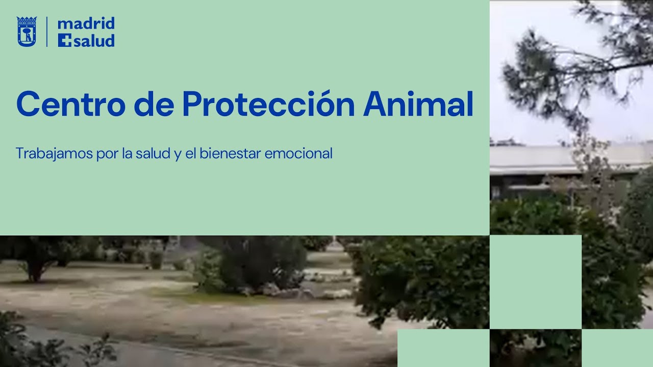 Adopta un animal en el Centro de Protección Animal de Madrid Salud