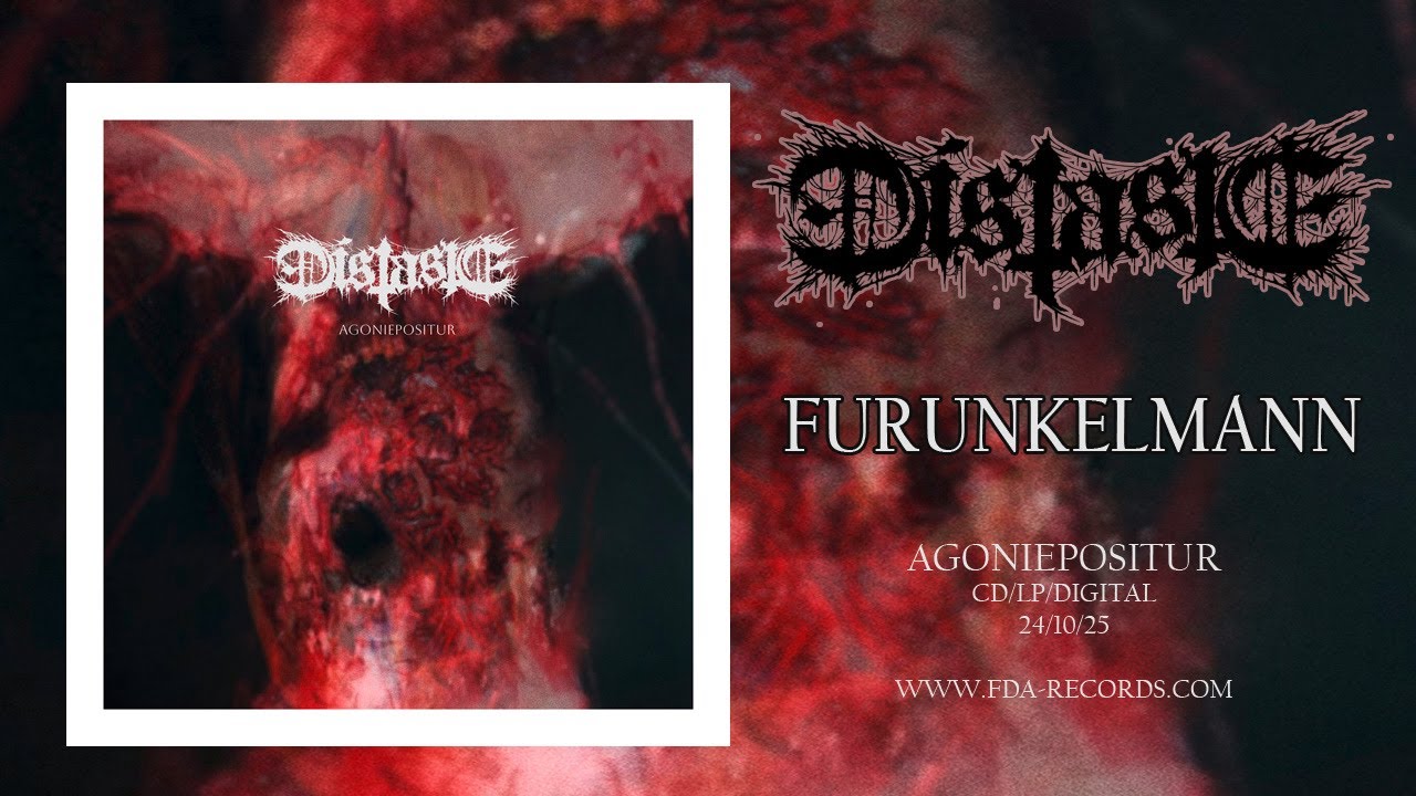 DISTASTE (at) - Furunkelmann (OFFICIAL VIDEO 2025)