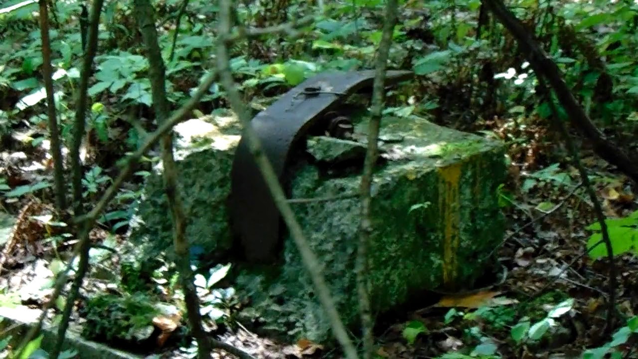 Youngstown Ohio history, the wildcat at Idora park
