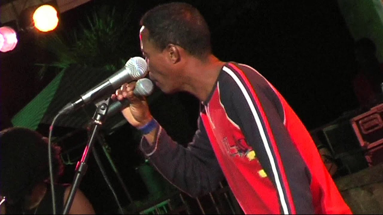 Damily - 1 - LIVE at Afrikafestival Hertme 2011