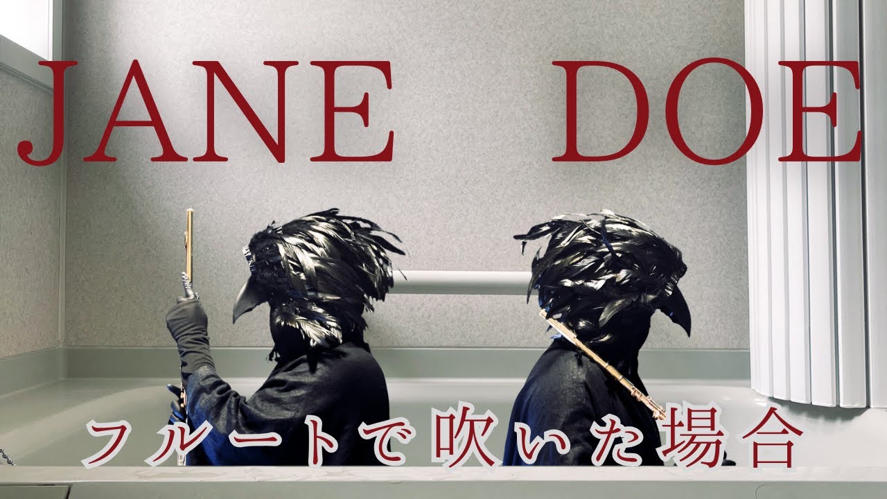 JANE DOE(米津玄師, 宇多田ヒカル)をフルートで吹いた場合 | Flute cover