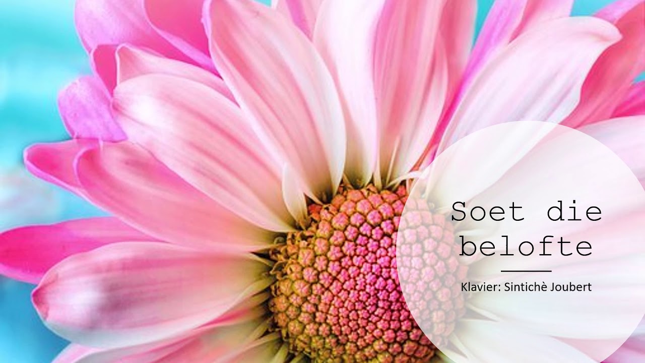 Sintiche Joubert Soet die belofte