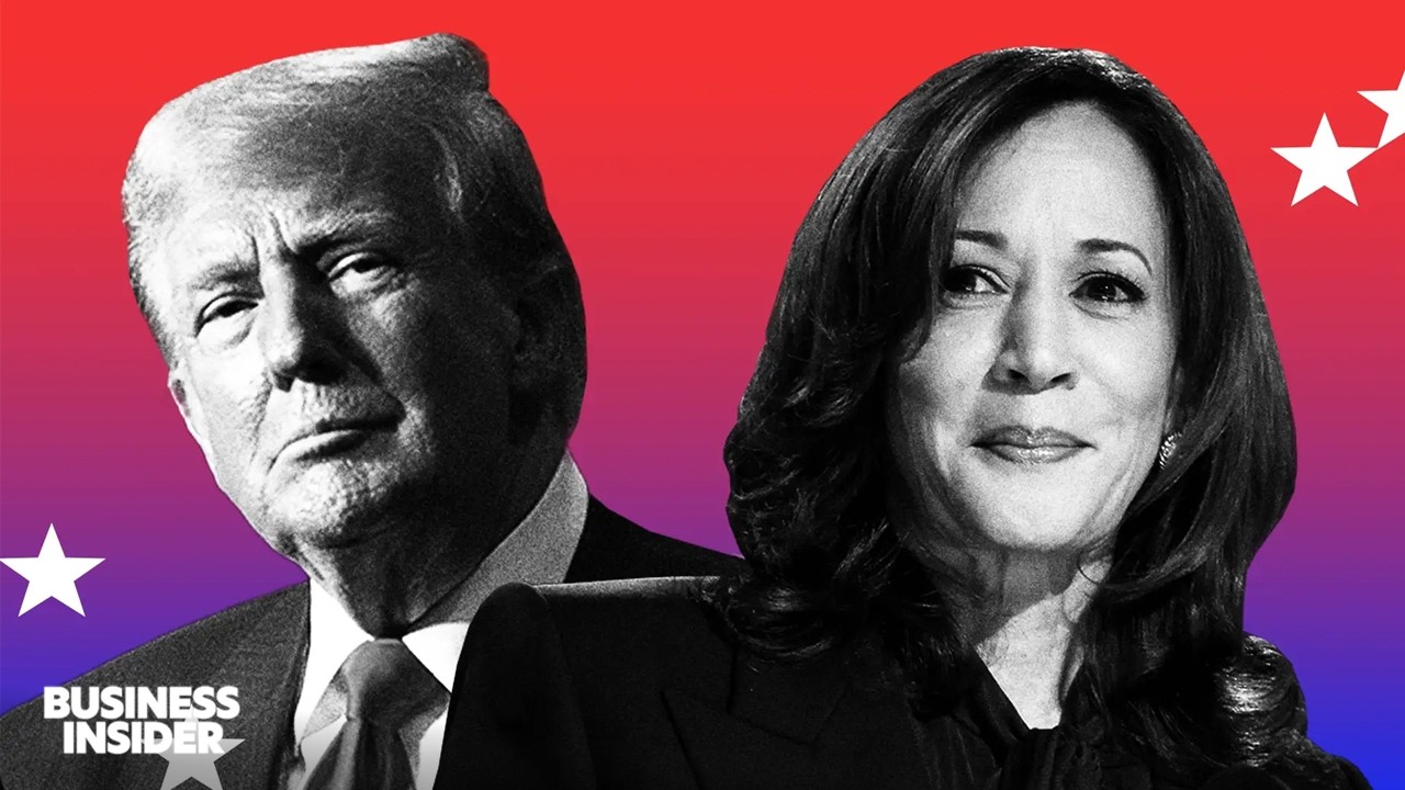 Why These Swing States Could Decide 2024 US Election | Business Insider Explains