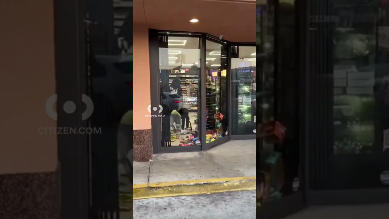 Altercation at Los Angeles Smoke Shop | Citizen