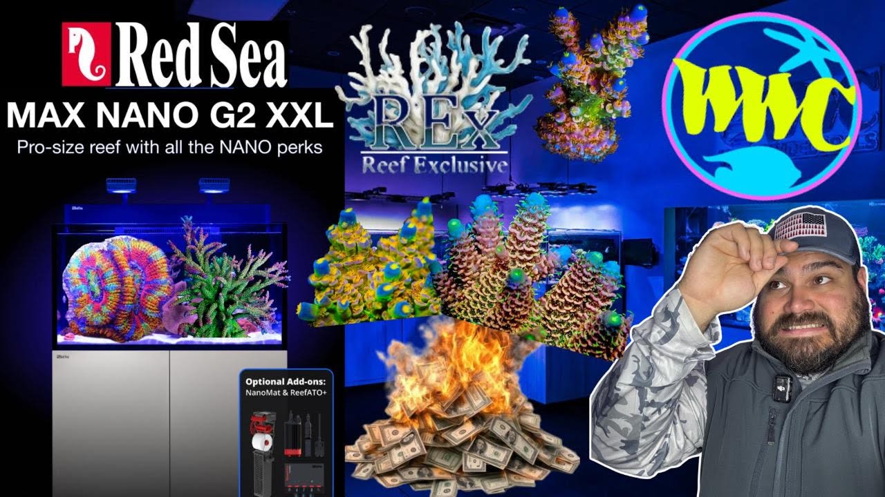 Unboxing New Coral for New RedSea Max Nano From Reef Exclusive and WWC