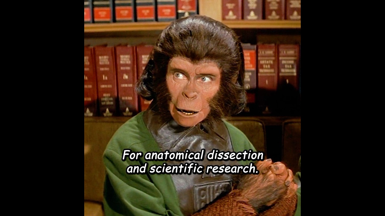 The ape couple witnessed the destruction of Earth!