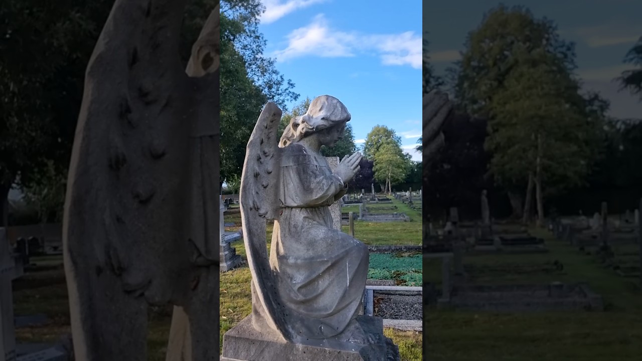 A beautiful angel - Find a Grave #findagrave #cemetery #rip #angel